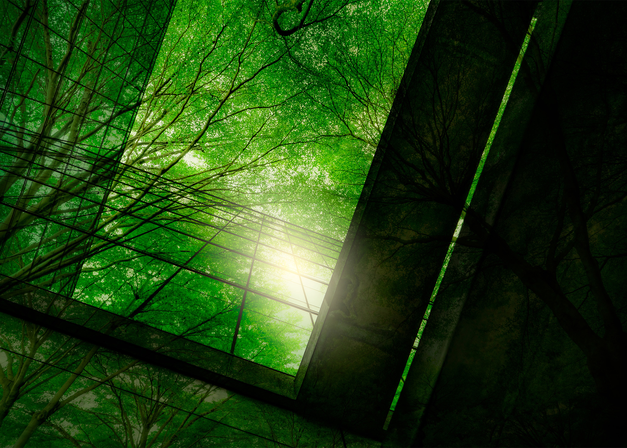 Blog Img