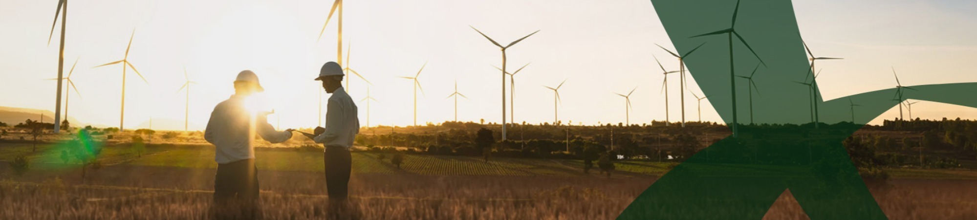 Banner Default Image