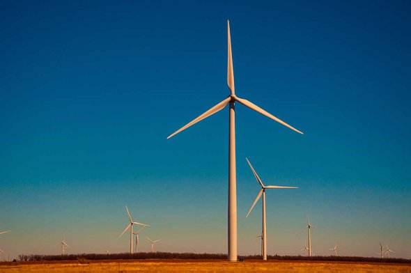 Project Developer - Wind - Edinburgh 